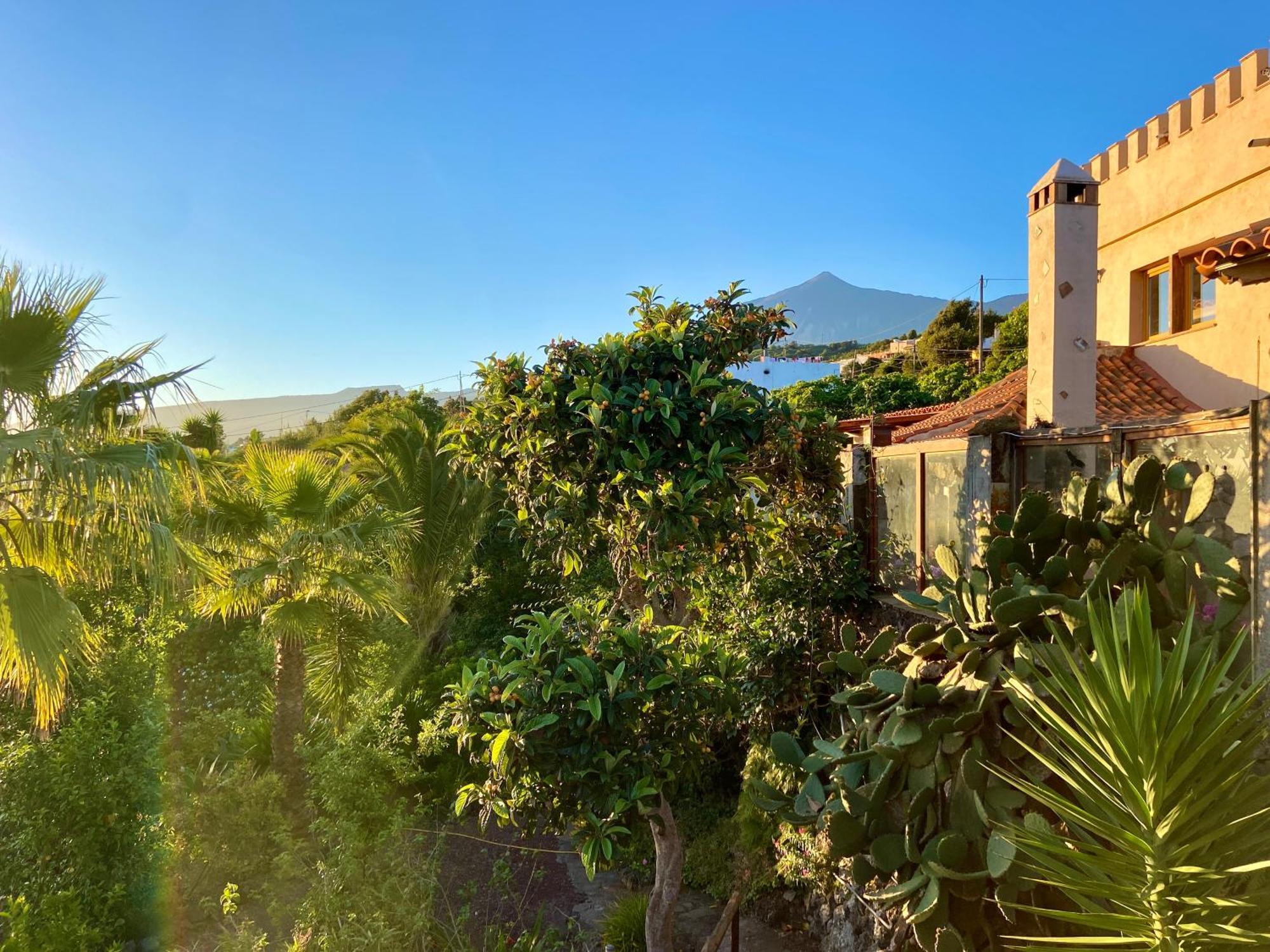 Tenerife - Cozy Mit Traumblick & Tropischem Garten Икод-де-лос-Винос